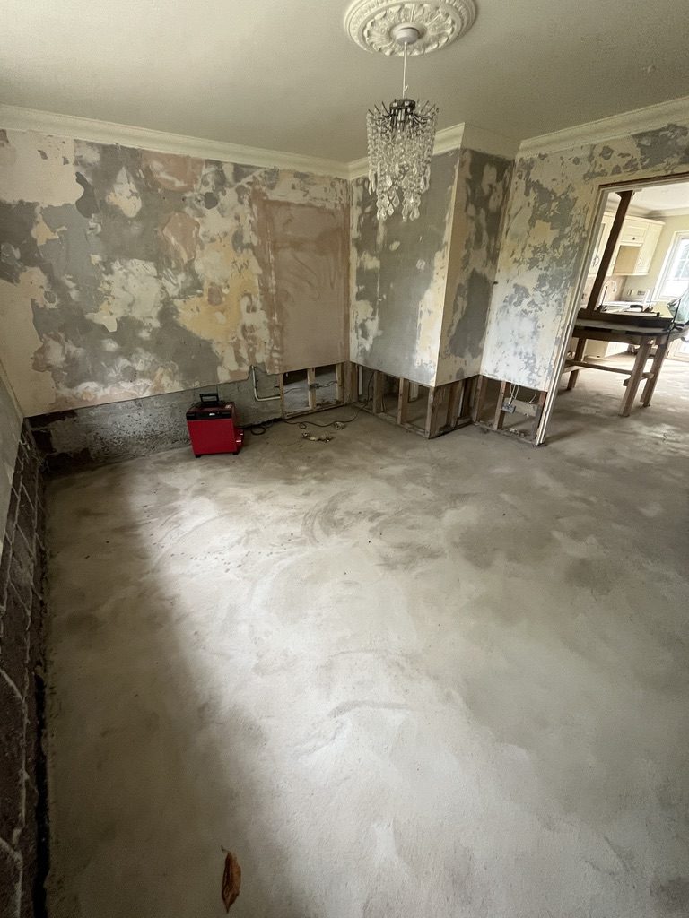 Strip-out room prepared for drying